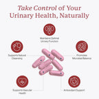 Dr. Fuhrman UT Biotect Urinary Tract Supplement - 120 Capsules - image 2