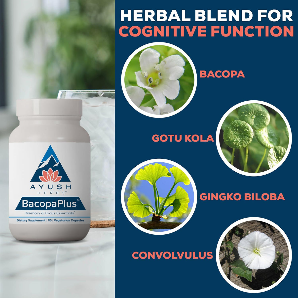 Ayush Herbs BacopaPlus Bacopa Supplement for Memory & Focus - 90 Capsules - image 4