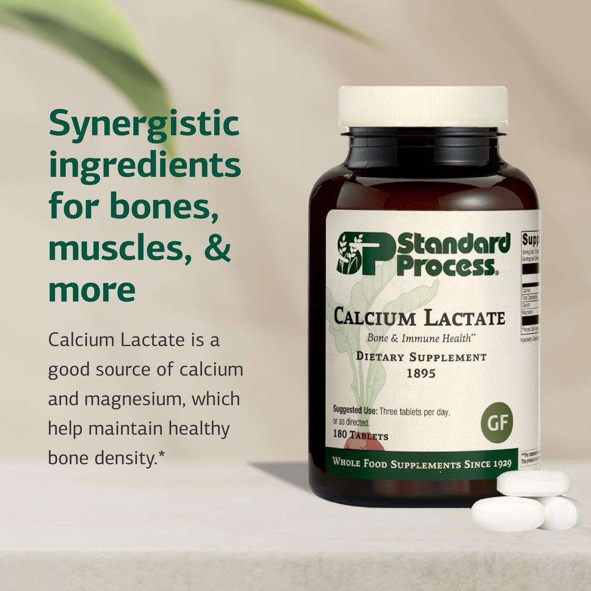 Standard Process Calcium Lactate, Bone & Immune Supplement