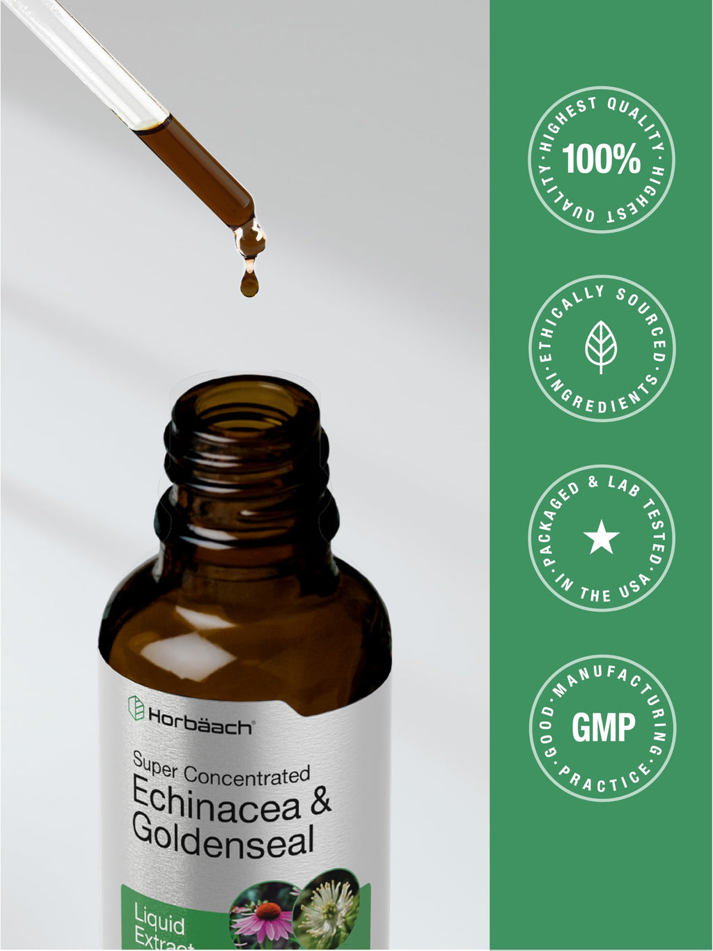 Horbäach Echinacea Goldenseal Liquid Tincture Drops - 2 fl oz - image 7