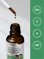 Horbäach Echinacea Goldenseal Liquid Tincture Drops - 2 fl oz - image 7