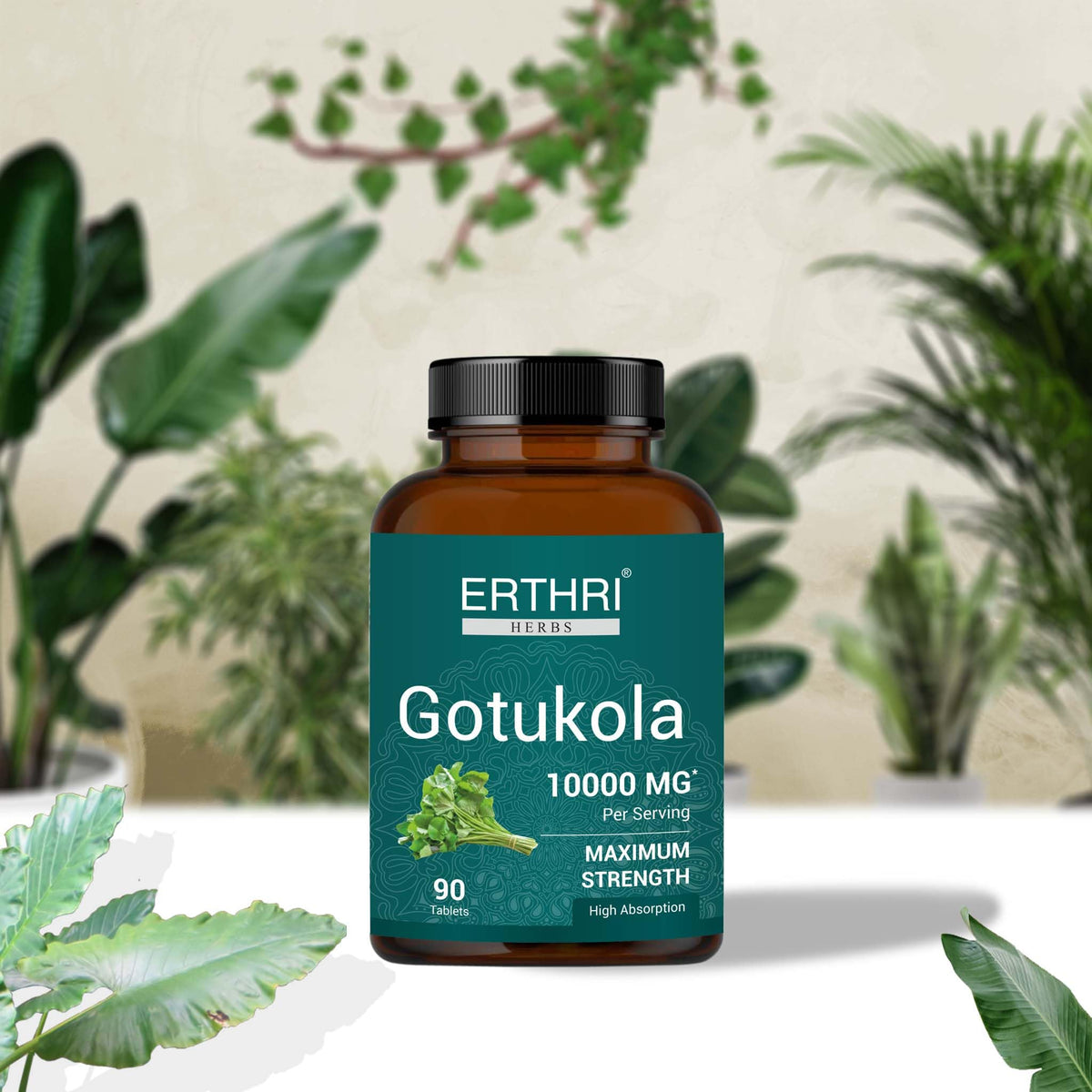 ERTHRI Gotu Kola Tablets 10,000mg - 90 Tablets - image 3