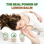 Go Nutra Lemon Balm Extract Powder - 8 Ounce - image 2