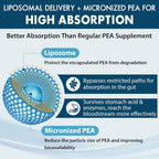 Ulmubra Liposomal Palmitoylethanolamide 1300 MG Plus Luteolin 100MG