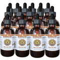 Hawaii Pharm Echinacea Root Liquid Extract - 4 fl oz, 15-Pack