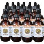 Hawaii Pharm Echinacea Root Liquid Extract - 4 fl oz, 15-Pack