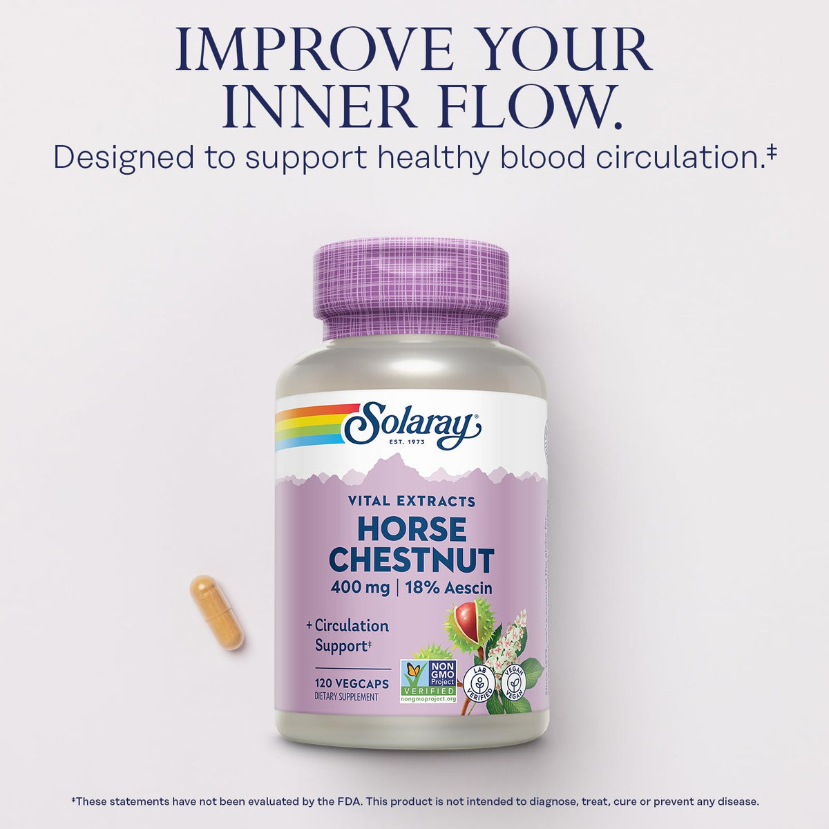 SOLARAY Horse Chestnut Extract 400 mg Vein Support - 120 Vegetarian Capsules - image 3