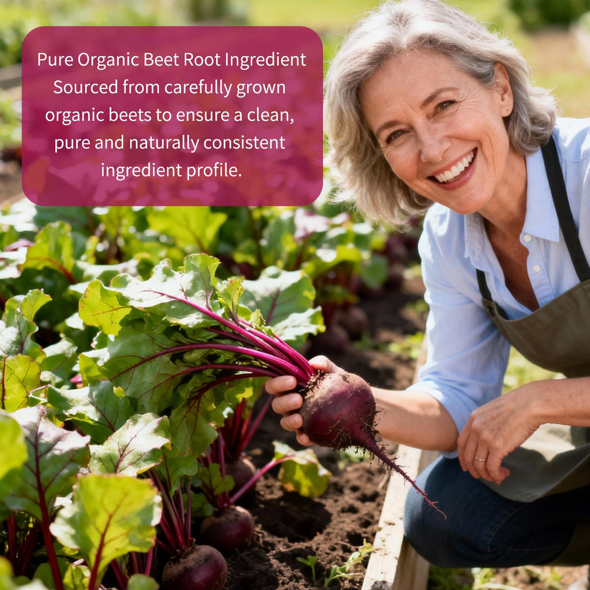 Vitarevive Organic Beet Root Capsules 850mg - 120 Capsules - image 3