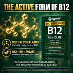 Wellgenix Bio-Available Sublingual B12 B6 Folate Vitamin - Formulated