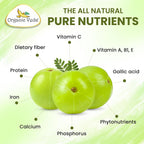Organic Veda Amla Capsules 1500mg - 300 Capsules - image 3