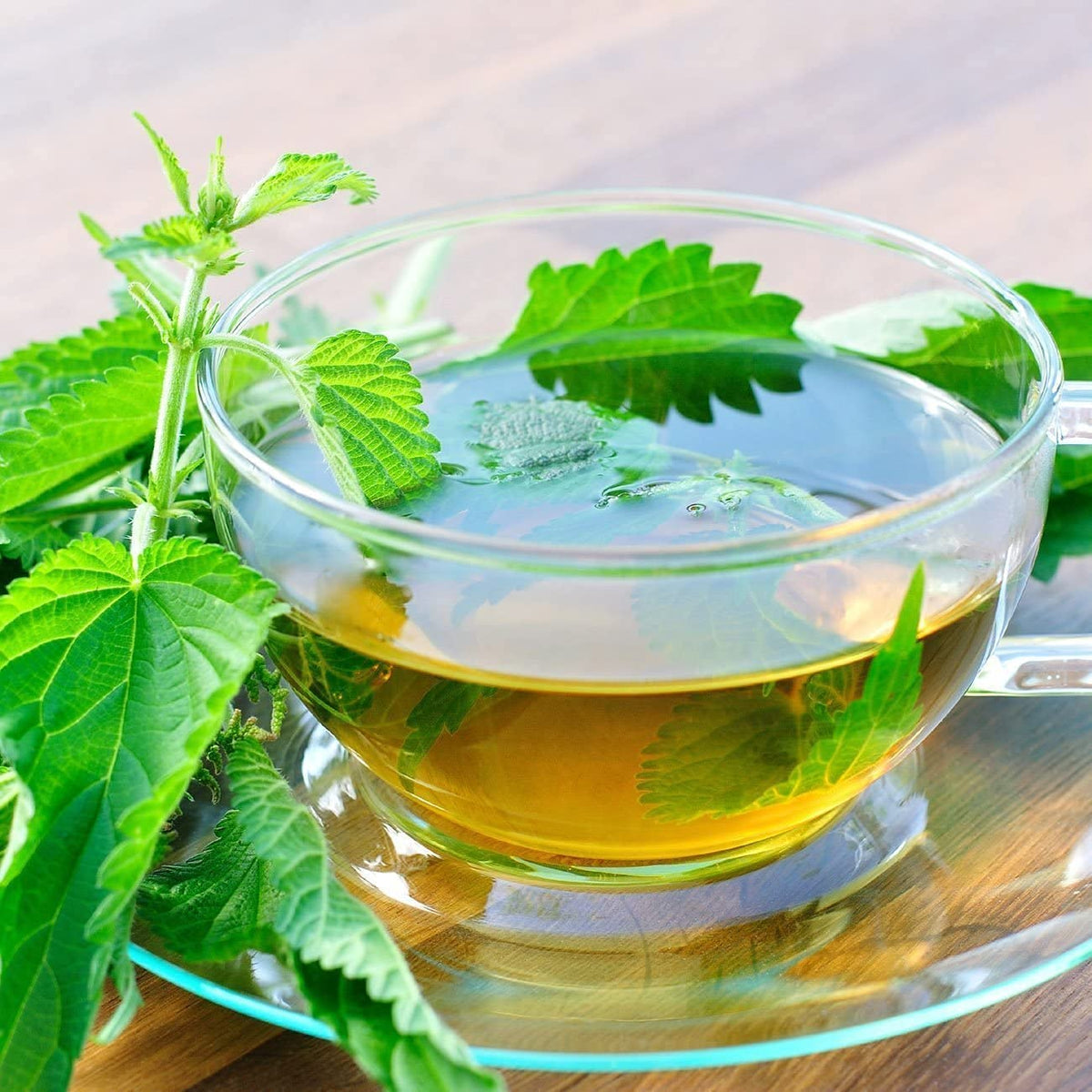 Nature Tea Nettle Leaf Dried Loose Leaf Herbal Tea - 1 oz - image 5