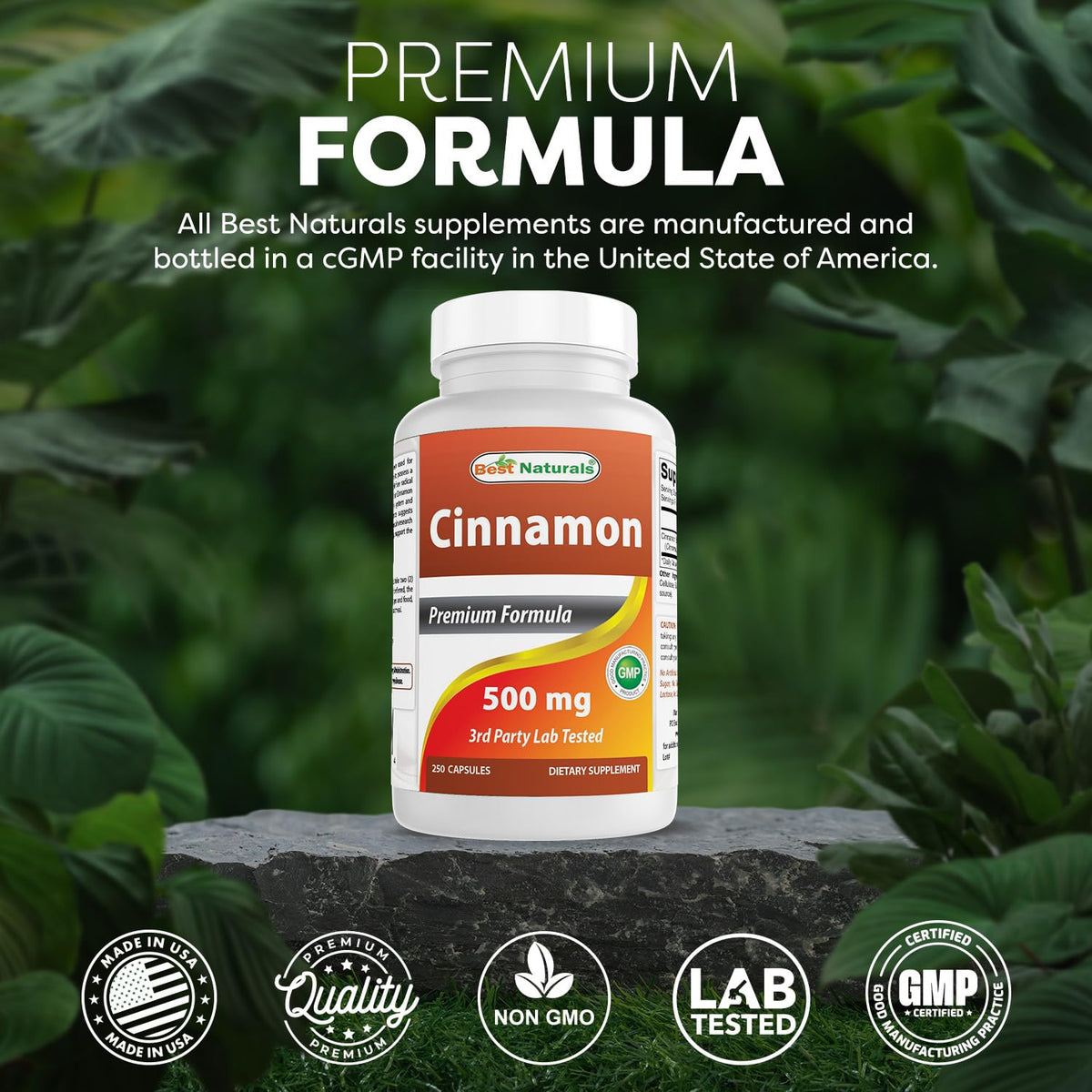 Best Naturals Cinnamon 500 mg - 250 Capsules - image 5