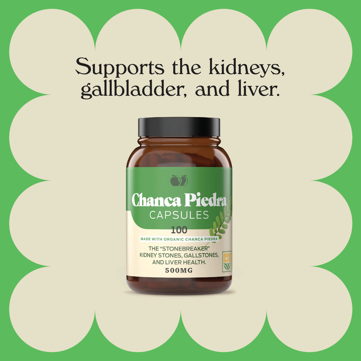 Complete Natural Products Chanca Piedra 500mg Capsules - 100 Count - image 5