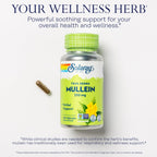 SOLARAY Mullein Leaf 330 mg Herbal Support - 100 Vegetarian Capsules - image 3