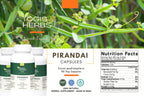 YOGIS HERBS Pirandai Cissus Quadrangularis Bone Support - 90 Vegetarian Capsules - image 2