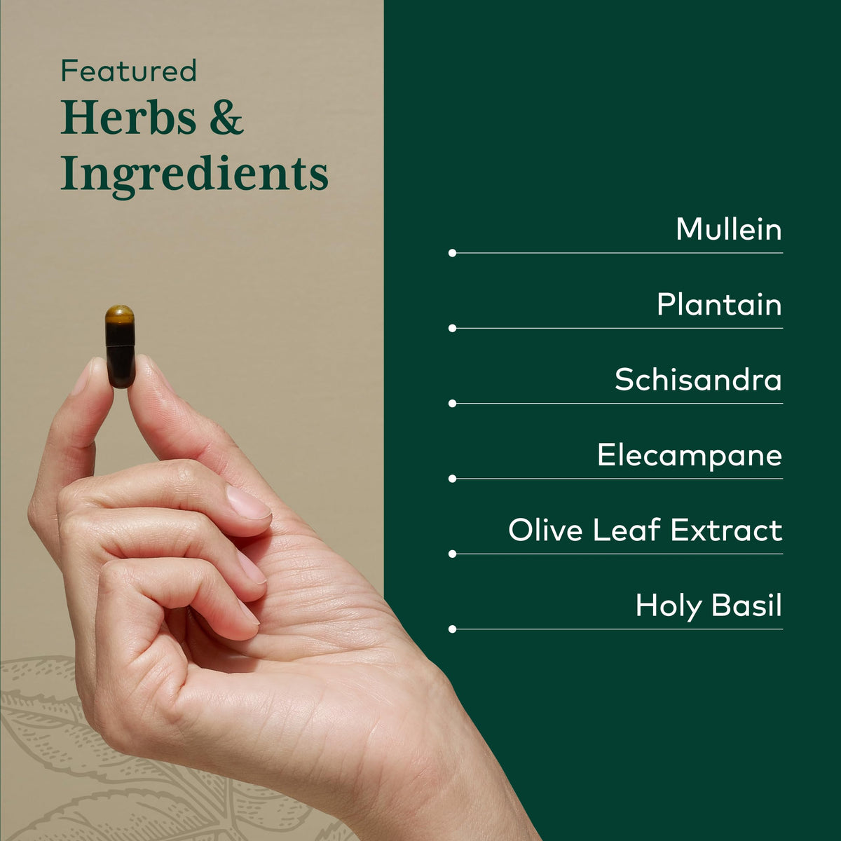 Gaia Herbs PRO Daily Lung Formula - 60 Vegan Capsules - image 4
