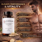 Lifexposure Health Natural Testosterone Supplement for Men - 120 Capsules - image 5