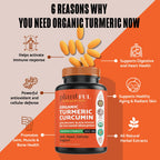 PLANTFUL RESEARCH Organic Turmeric Curcumin 2115mg - 120 Tablets - image 3