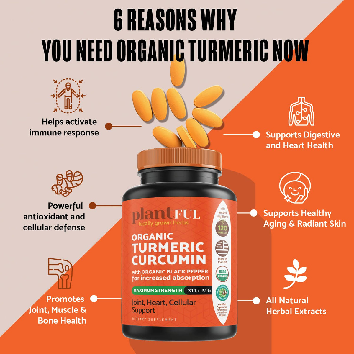 PLANTFUL RESEARCH Organic Turmeric Curcumin 2115mg - 120 Tablets - image 3