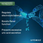 Ambrosial Iodine 5000mcg Tablets - 60 Count - image 2
