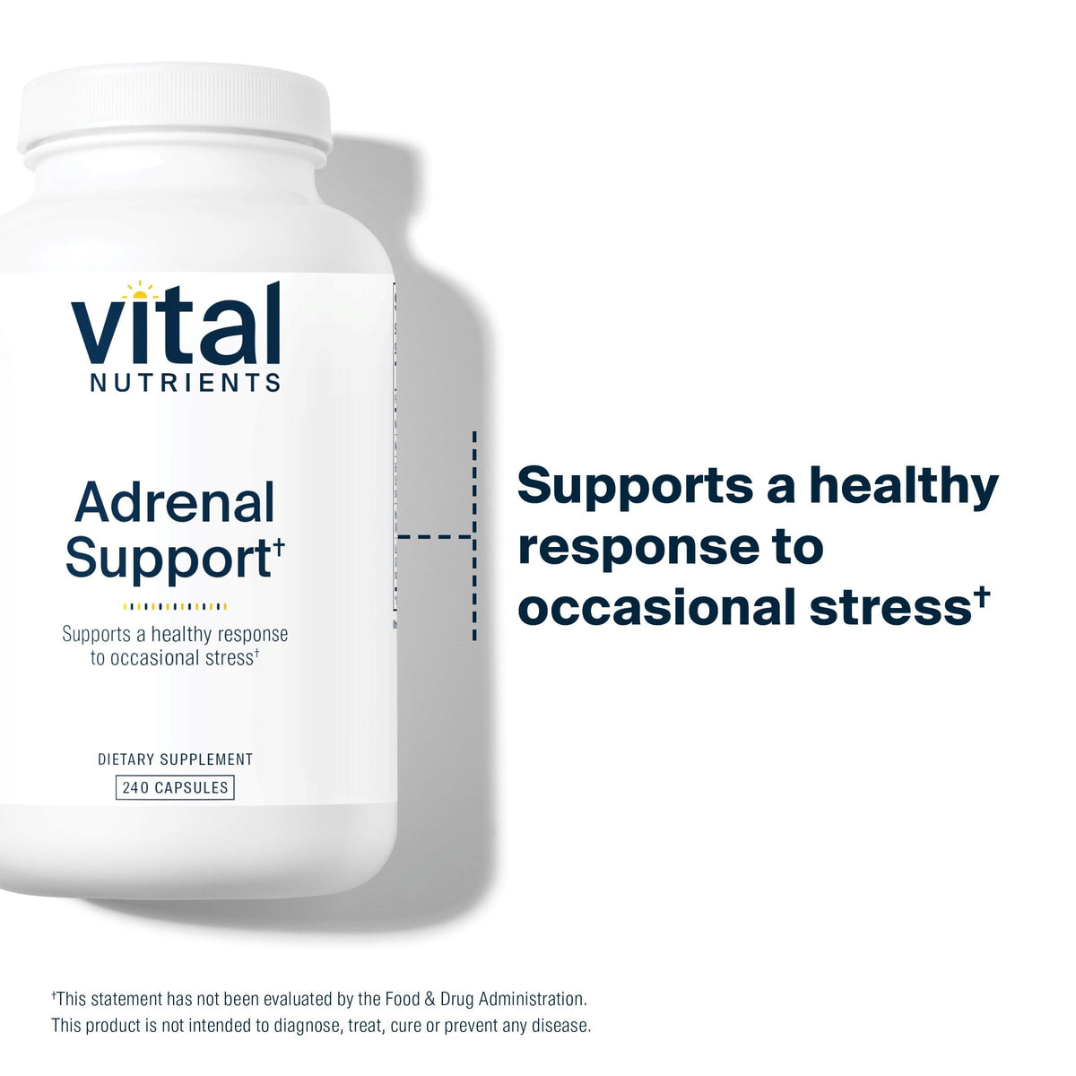 Vital Nutrients Adrenal Support for Gland Function - 240 Capsules - image 3