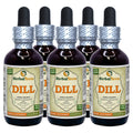 Herbal Terra LLC Dill (Anethum Graveolens) Tincture