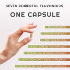 Vitalifi Vitacell+ Longvida Optimized Liposomal Curcumin Capsules - 60 Count - image 6