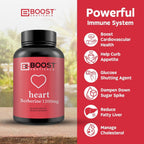 BoostCeuticals Pure Berberine 1200mg - 60 Vegan Capsules - image 5