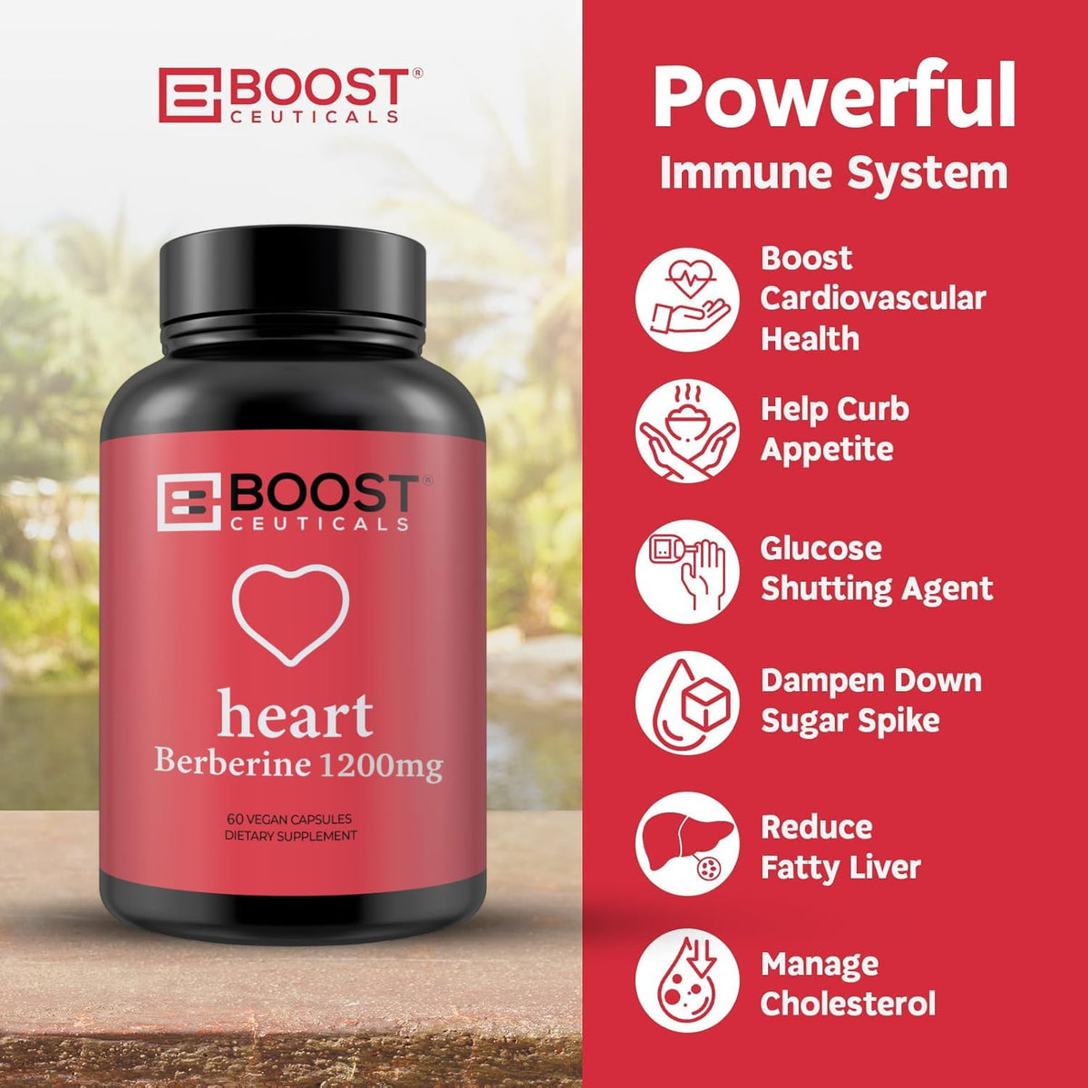 BoostCeuticals Pure Berberine 1200mg - 60 Vegan Capsules - image 5