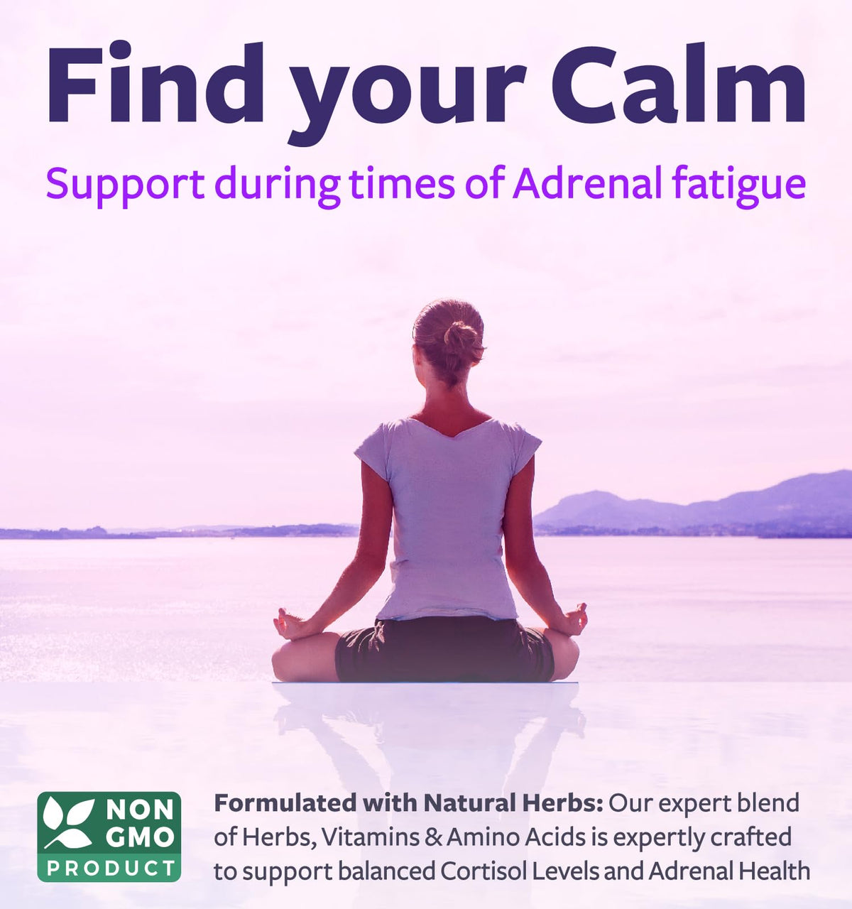 Healths Harmony Adrenal Support & Cortisol Manager - 120 Capsules - image 3