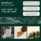 Adapt Naturals Beef Organ Supplement Grass Fed - 180 Capsules - image 3