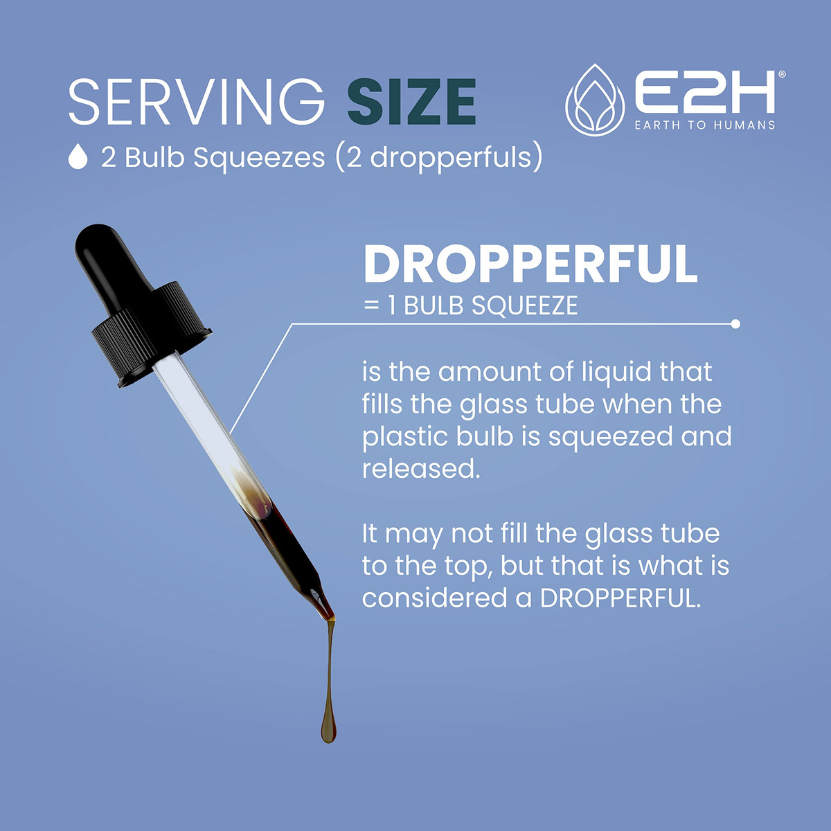 E2H EARTH TO HUMANS Natural Black Currant Extract