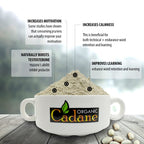 Organic Cadane Mucuna Pruriens Powder for Energy - 1 Pound - image 3
