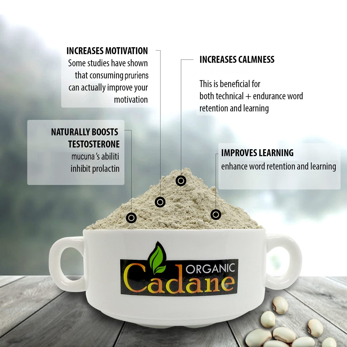 Organic Cadane Mucuna Pruriens Powder for Energy - 1 Pound - image 3
