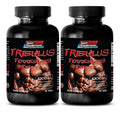 Sport Supplements Tribulus Terrestris Extract 1000mg - 120 Tablets