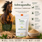 YOGIS HERBS Amukkara Powder Ashwagandha Root - 16 Ounce - image 3