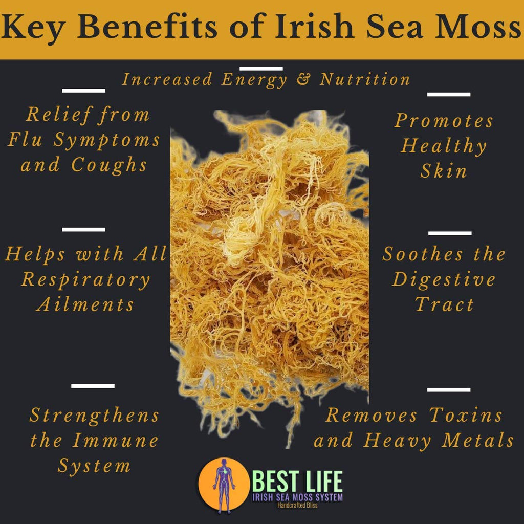 Best Life Irish Sea Moss Gel Wildcrafted - 16 oz - image 5