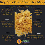 Best Life Irish Sea Moss Gel Wildcrafted - 16 oz - image 5