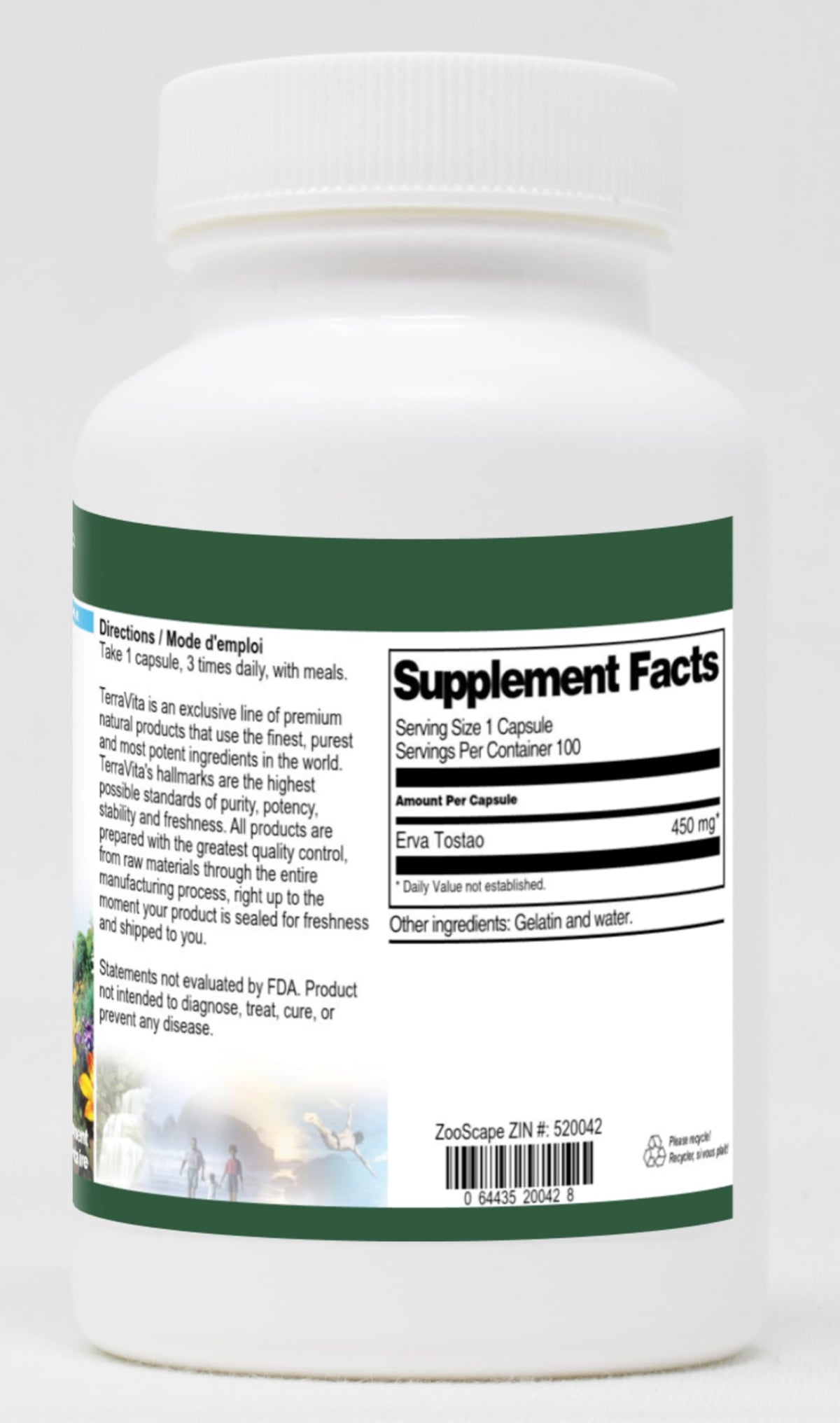 Terravita Erva Tostao - 450 mg (100 Capsules, ZIN: 520042)