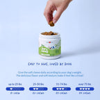 Coco and Luna Liver Supplement for Dogs with Milk Thistle - 90 Soft Chews - image 7