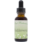 Best Botanicals Bladderwrack Extract Drops - 1 fl oz
