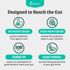 Dr. Matthew Prebiotics and Probiotics 50 Billion - 30 Capsules - image 5