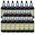 Herbal Terra LLC Evening Primrose (Oenothera Biennis) Tincture
