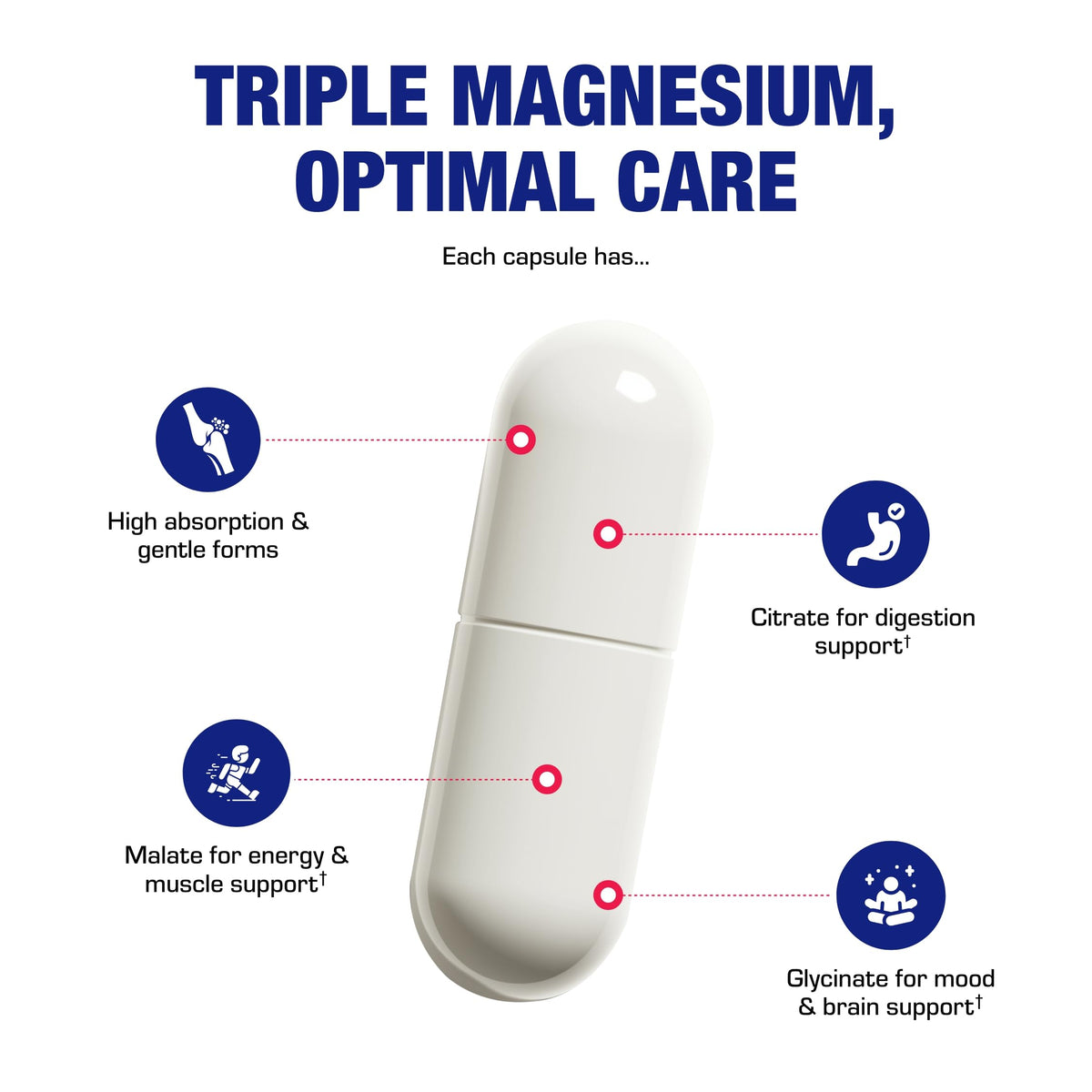 Anabolic Laboratories Triple Magnesium Complex 400 mg - 90 Capsules - image 4