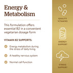 Solgar Vitamin B2 (Riboflavin) 100mg - 100 Vegetarian Capsules - image 4