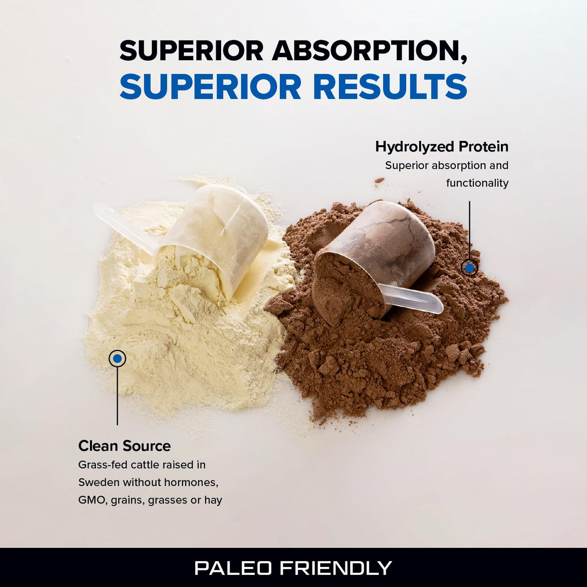 Designs for Sport Beef Protein Powder