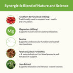Natural Wellness Blood Pressure Complex - 90 Tablets - image 5