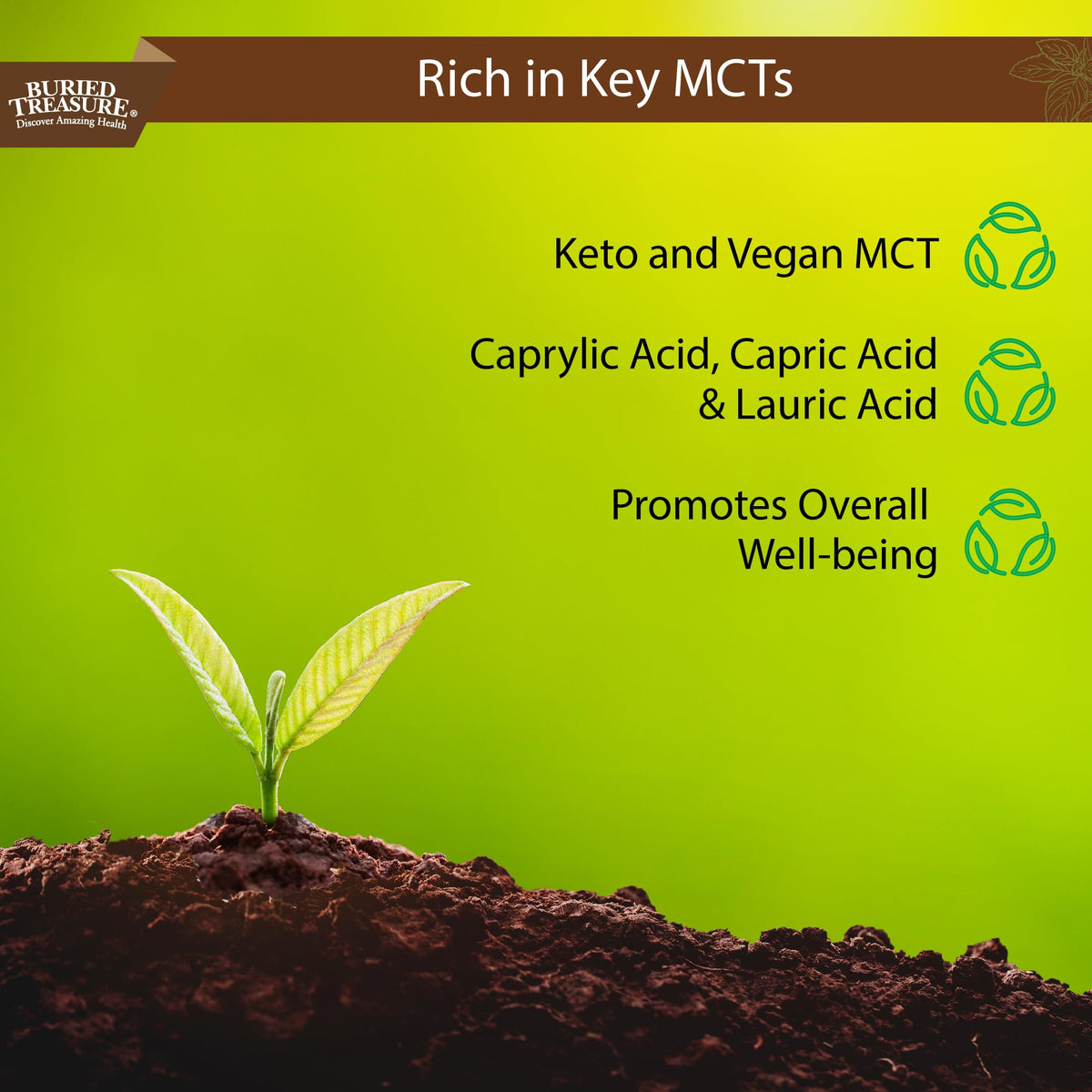 Buried Treasure MCT Coconut Oil - 16.54 Fl Oz - image 3