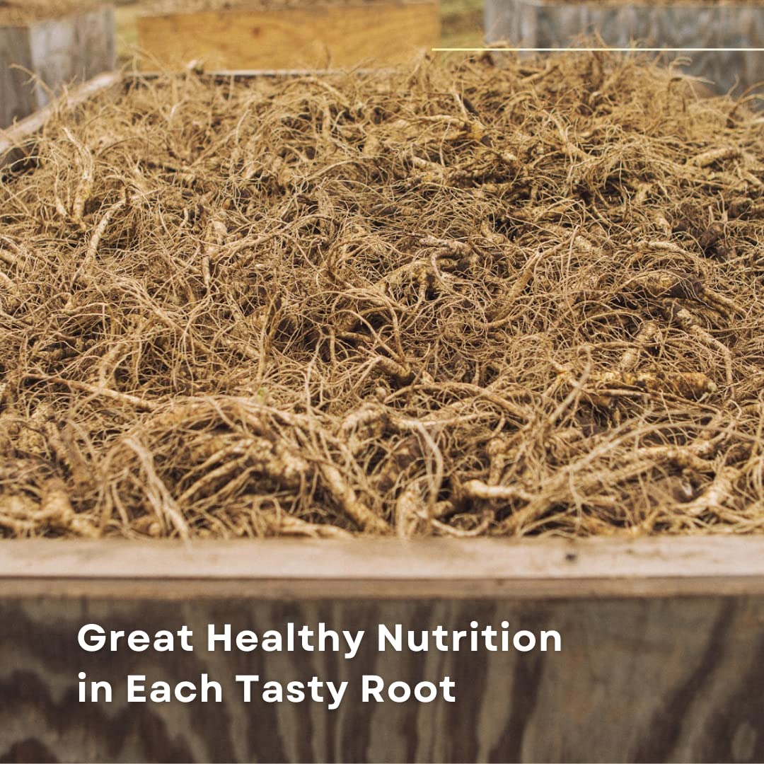 Baumann Wisconsin Ginseng Whole Roots for Energy - 4 oz - image 5