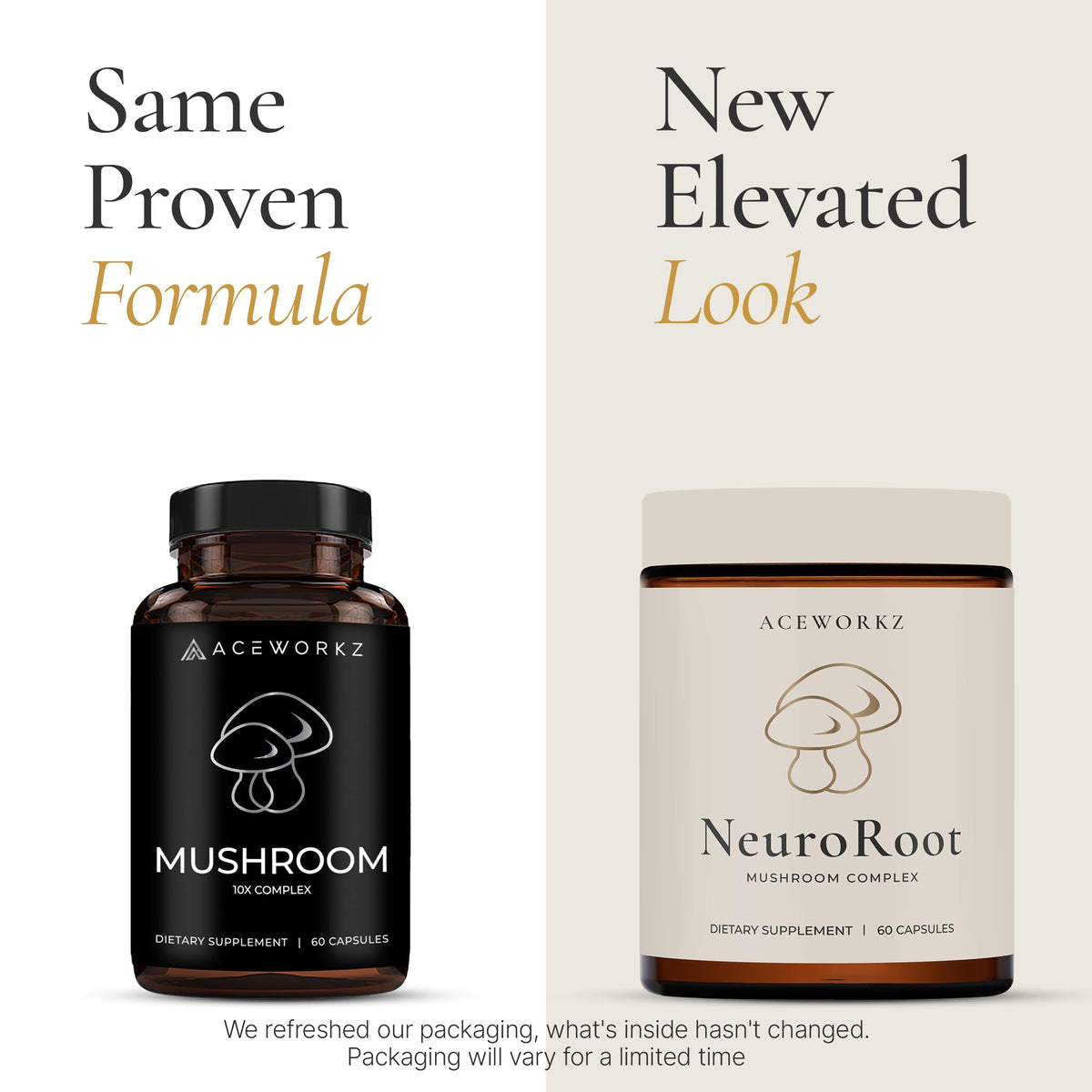 ACEWORKZ NeuroRoot Organic 10 Mushroom Complex – Focus & Immune Support - image 2